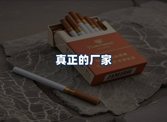 专业团队办公环境